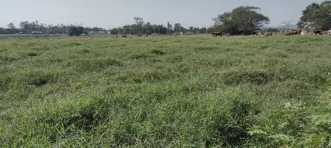 imagem 3 - Sítio / Haras com casa sede para venda em Pindamonhangaba - SP imagem 3 - Sítio / Haras com casa sede para venda em Pindamonhangaba - SP