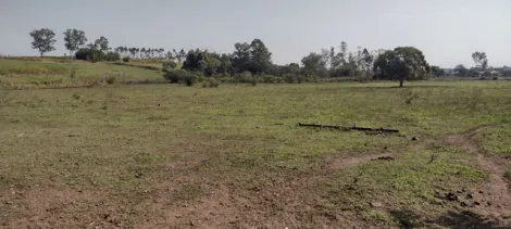 imagem 5 - Sítio / Haras com casa sede para venda em Pindamonhangaba - SP imagem 5 - Sítio / Haras com casa sede para venda em Pindamonhangaba - SP