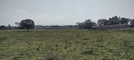 imagem 2 - Sítio / Haras com casa sede para venda em Pindamonhangaba - SP imagem 2 - Sítio / Haras com casa sede para venda em Pindamonhangaba - SP
