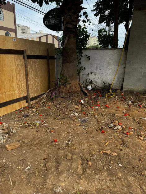 imagem 3 - Terreno comercial para venda e locação com 300m² no bairro Jardim Maringá imagem 3 - Terreno comercial para venda e locação com 300m² no bairro Jardim Maringá