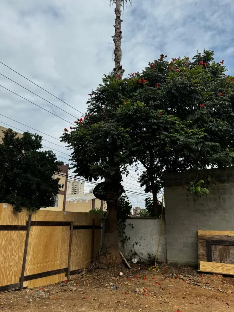 imagem 4 - Terreno comercial para venda e locação com 300m² no bairro Jardim Maringá imagem 4 - Terreno comercial para venda e locação com 300m² no bairro Jardim Maringá