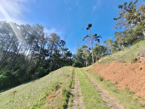 imagem 3 - Terreno em Condomínio Fechado - 1.767,00m² em São Antonio do Pinhal imagem 3 - Terreno em Condomínio Fechado - 1.767,00m² em São Antonio do Pinhal
