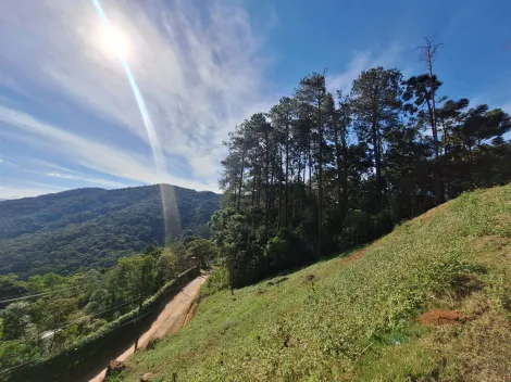 imagem 4 - Terreno em Condomínio Fechado - 1.767,00m² em São Antonio do Pinhal imagem 4 - Terreno em Condomínio Fechado - 1.767,00m² em São Antonio do Pinhal
