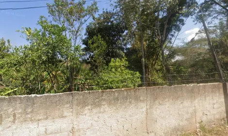 imagem 1 - GLEBA DE 24,43 ALQUEIRES - BAIRRO SERROTE - DISTRITO EUGÊNIO DE MELO - S.J.CAMPOS imagem 1 - GLEBA DE 24,43 ALQUEIRES - BAIRRO SERROTE - DISTRITO EUGÊNIO DE MELO - S.J.CAMPOS