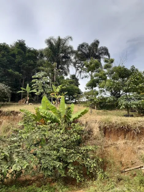 imagem 5 - Chácara formada para venda com piscina e casa ampla - 195m² em Caçapava imagem 5 - Chácara formada para venda com piscina e casa ampla - 195m² em Caçapava