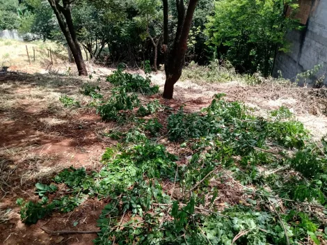 imagem 4 - Terreno para venda com 1096,50m² no bairro Jardim Santa Cecília II - São José dos Campos-SP imagem 4 - Terreno para venda com 1096,50m² no bairro Jardim Santa Cecília II - São José dos Campos-SP