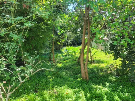imagem 5 - Terreno para venda com 1.512m² no bairro Vista Verde imagem 5 - Terreno para venda com 1.512m² no bairro Vista Verde