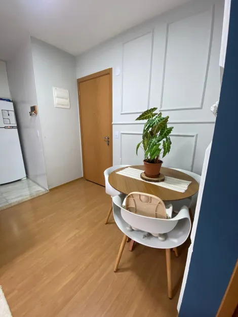 imagem 4 - Apartamento à venda com 02 dormitórios com 46 m²- No bairro Jardim Sul imagem 4 - Apartamento à venda com 02 dormitórios com 46 m²- No bairro Jardim Sul