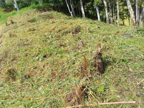 imagem 4 - Terreno à venda com 691,92 m² no bairro Cristal- Santo Antônio do Pinhal imagem 4 - Terreno à venda com 691,92 m² no bairro Cristal- Santo Antônio do Pinhal