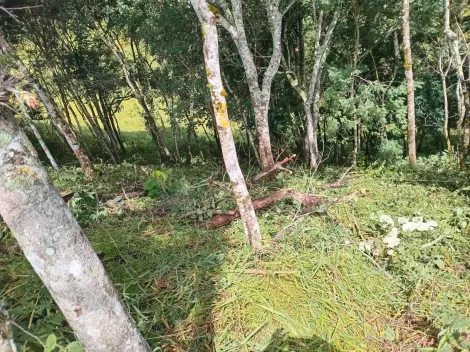 imagem 5 - Terreno à venda com 691,92 m² no bairro Cristal- Santo Antônio do Pinhal imagem 5 - Terreno à venda com 691,92 m² no bairro Cristal- Santo Antônio do Pinhal