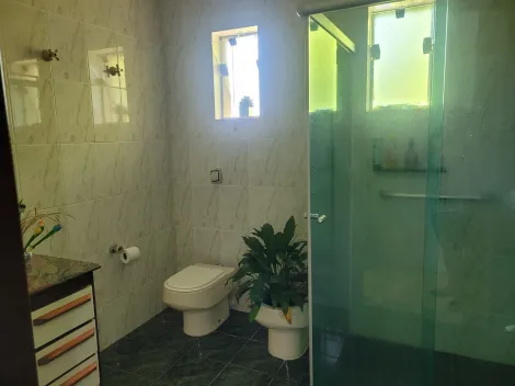 imagem 3 - Casa à venda com 4 quartos sendo 1 suíte- 3.200 m² de terreno- Bosque dos Eucaliptos imagem 3 - Casa à venda com 4 quartos sendo 1 suíte- 3.200 m² de terreno- Bosque dos Eucaliptos