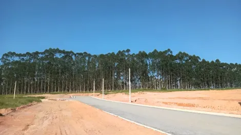imagem 2 - Terreno em condomínio fechado à venda com 200,00m² no bairro Vila Amélia imagem 2 - Terreno em condomínio fechado à venda com 200,00m² no bairro Vila Amélia