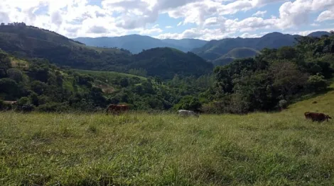 imagem 3 - Sítio à venda com 4 quartos 86.280,00 m² de terreno- São Francisco Xavier imagem 3 - Sítio à venda com 4 quartos 86.280,00 m² de terreno- São Francisco Xavier