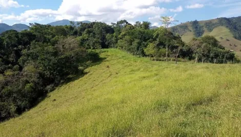 imagem 5 - Sítio à venda com 4 quartos 86.280,00 m² de terreno- São Francisco Xavier imagem 5 - Sítio à venda com 4 quartos 86.280,00 m² de terreno- São Francisco Xavier