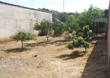 imagem 4 - Terreno murado à venda pronto para construir com 200 m²- Altos da Vila Paiva imagem 4 - Terreno murado à venda pronto para construir com 200 m²- Altos da Vila Paiva