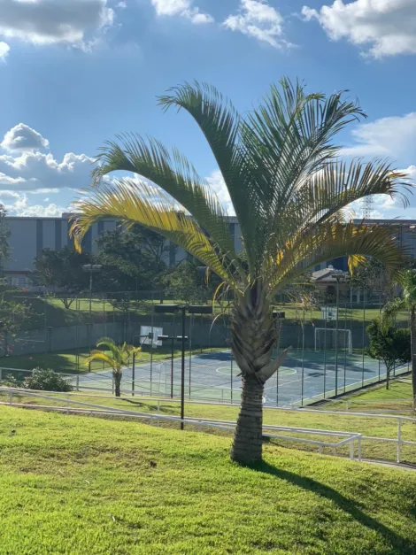 imagem 2 - Terreno à venda com 360 m² em condomínio fechado- Caçapava imagem 2 - Terreno à venda com 360 m² em condomínio fechado- Caçapava